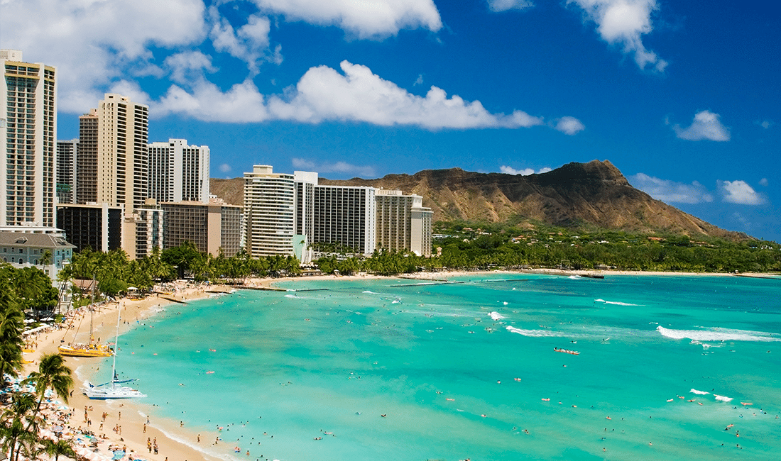 Car Rental in Hawaii Fox